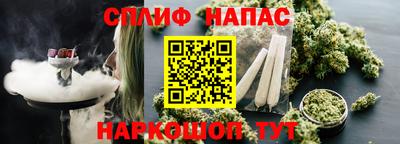 тгк Канаш