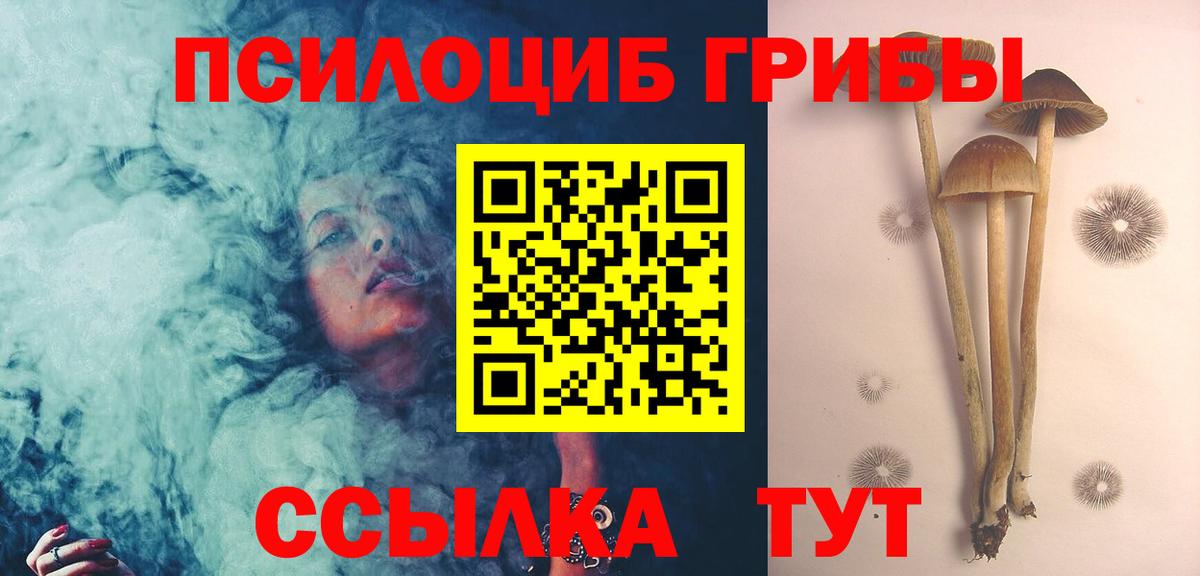 Галлюциногенные грибы MAGIC MUSHROOMS Кудрово